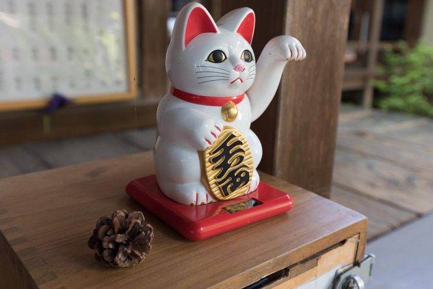 hoshinoresorts-magazine.com
