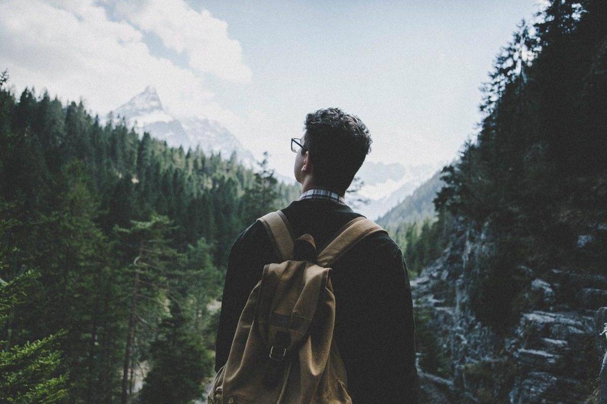 Pexels/Lucas Allman