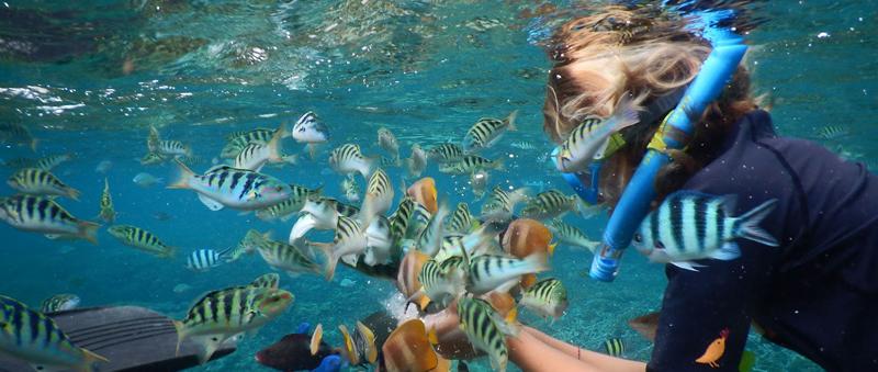 Super Cantik! 14 Spot Wisata Snorkeling dan Diving Terbaik di Bali