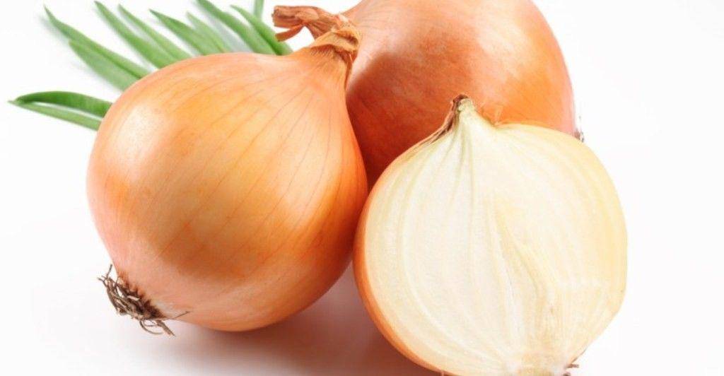 naturalfoodseries.com