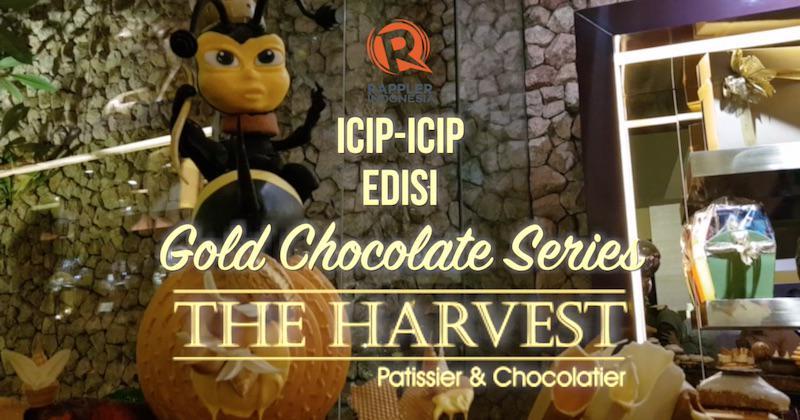 SAKSIKAN: Icip-Icip Edisi The Harvest, Gold Chocolate Series