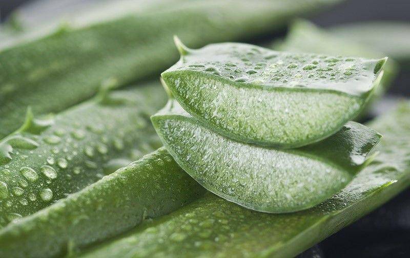 naturallivingideas.com