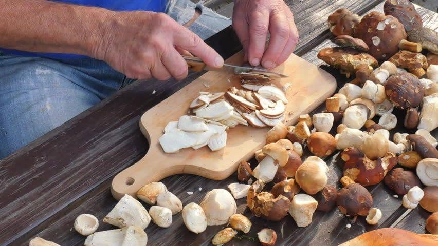 9 Menu Makanan Berbahan Dasar Jamur yang Cocok Buat Buka Puasa