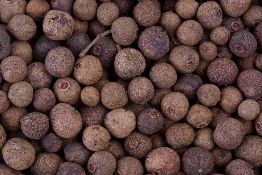 spiceography.com