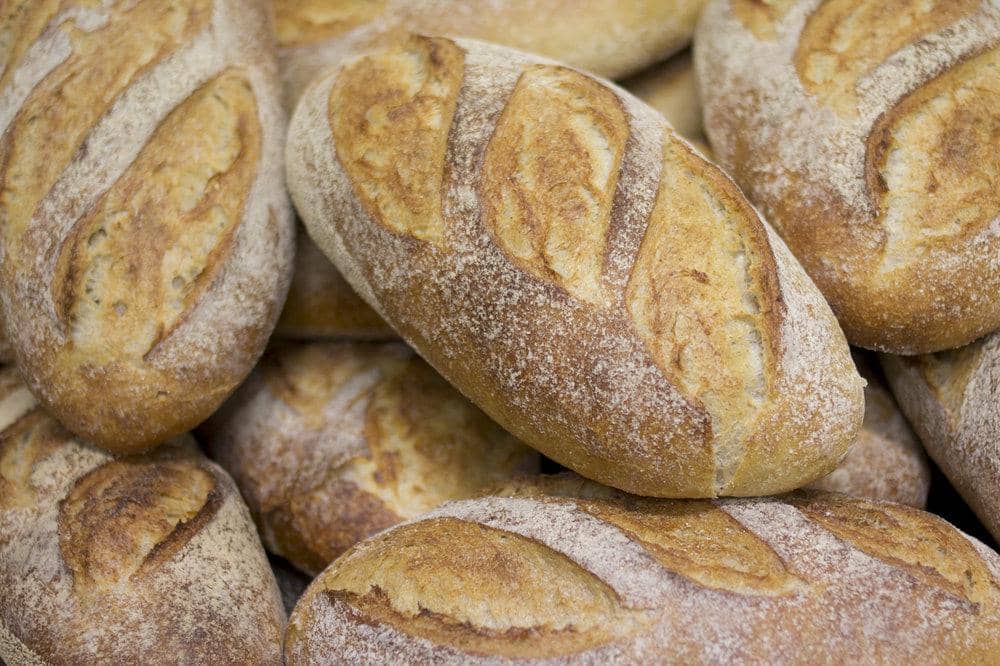 theeyesshivaworld.com