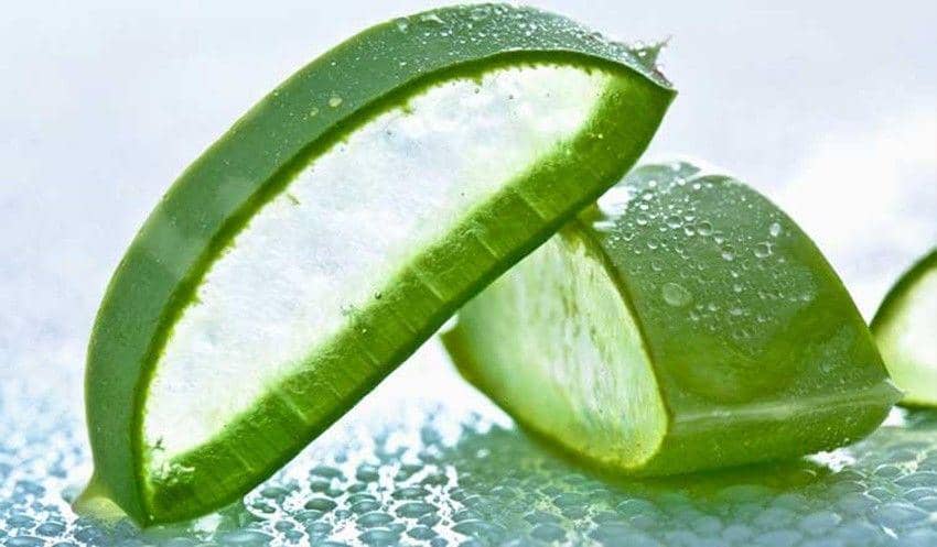 wikihomenutrition.com