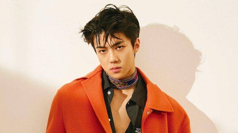 Terkenal Stylish, Ini 10 Inspirasi Gaya Casual ala Sehun EXO