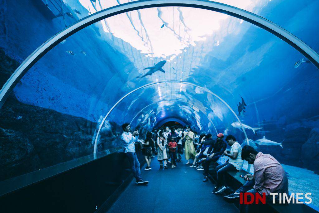 IDN Times/Arifina Budi