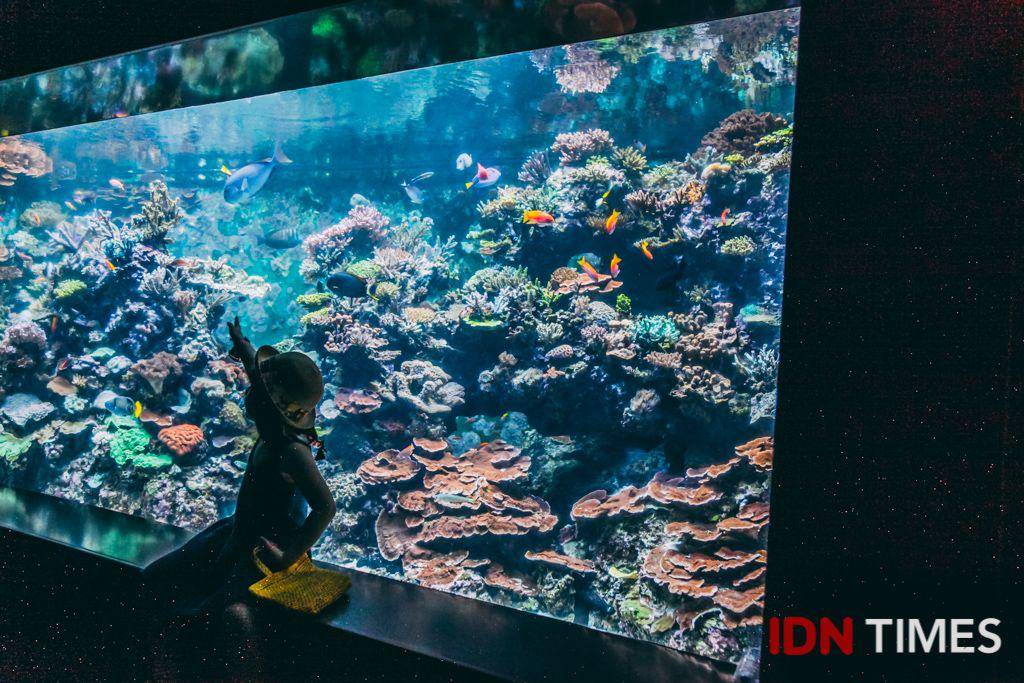IDN Times/Arifina Budi