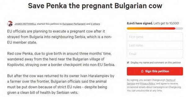 International Business Time