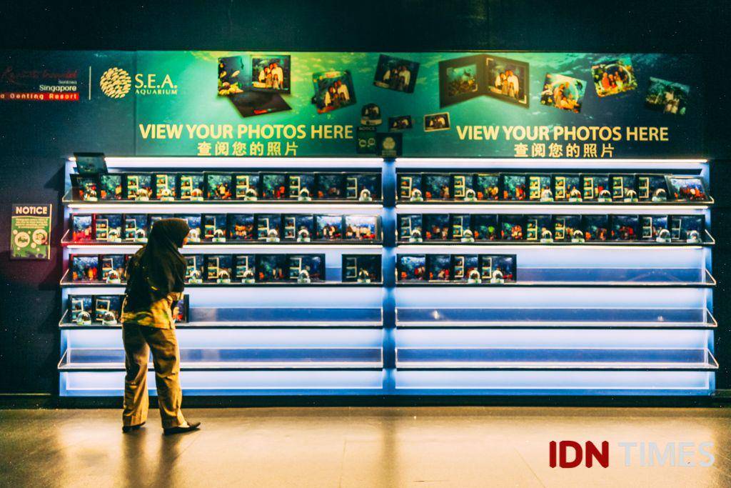 IDN Times/Arifina Budi