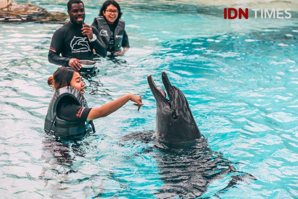 IDN Times/Arifina Budi