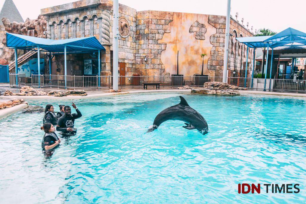IDN Times/Arifina Budi
