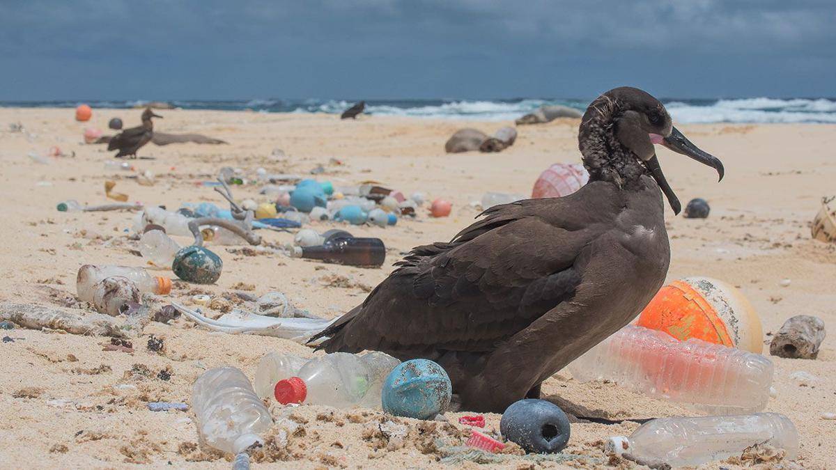 The Ocean Cleanup