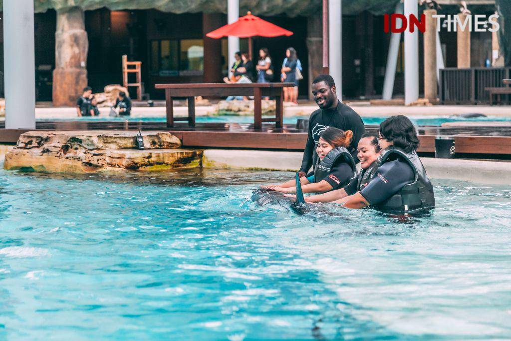 IDN Times/Arifina Budi