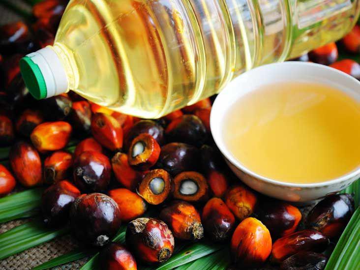 Petani Perancis Ancam Blokir Kilang Minyak Sawit Impor