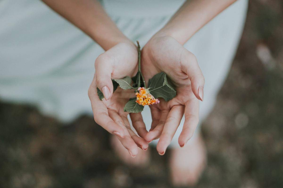 unsplash.com/Bobbo Sintes