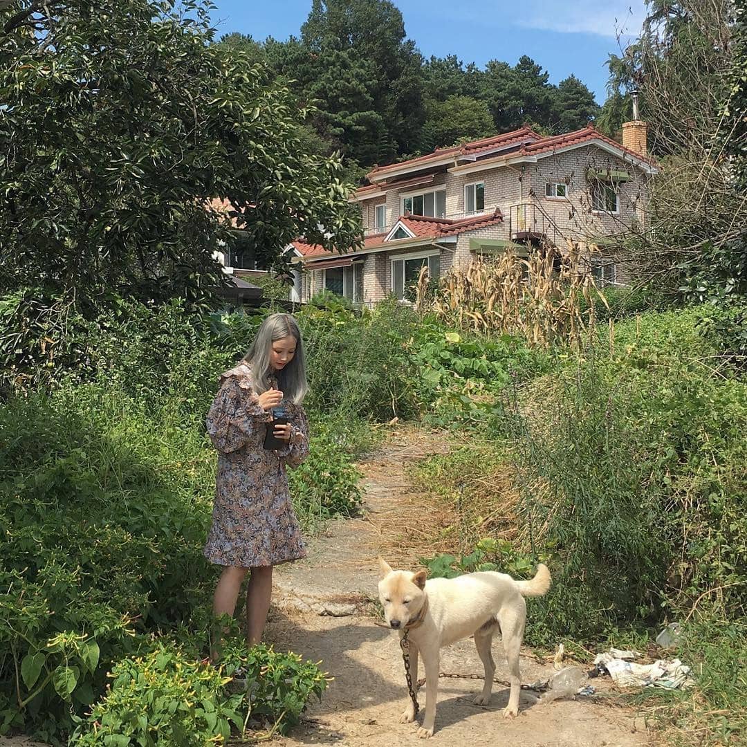 instagram.com/hayeonsoo_