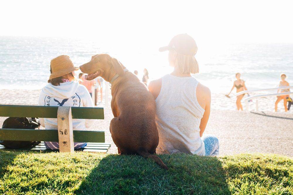 Unsplash.com/Alvin Balemesa