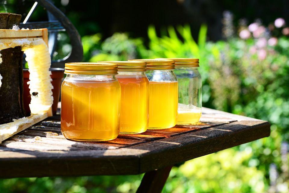 Biar Gak Mabuk Saat Mudik, 5 Bahan Makanan Ini Bisa Kurangi Mual