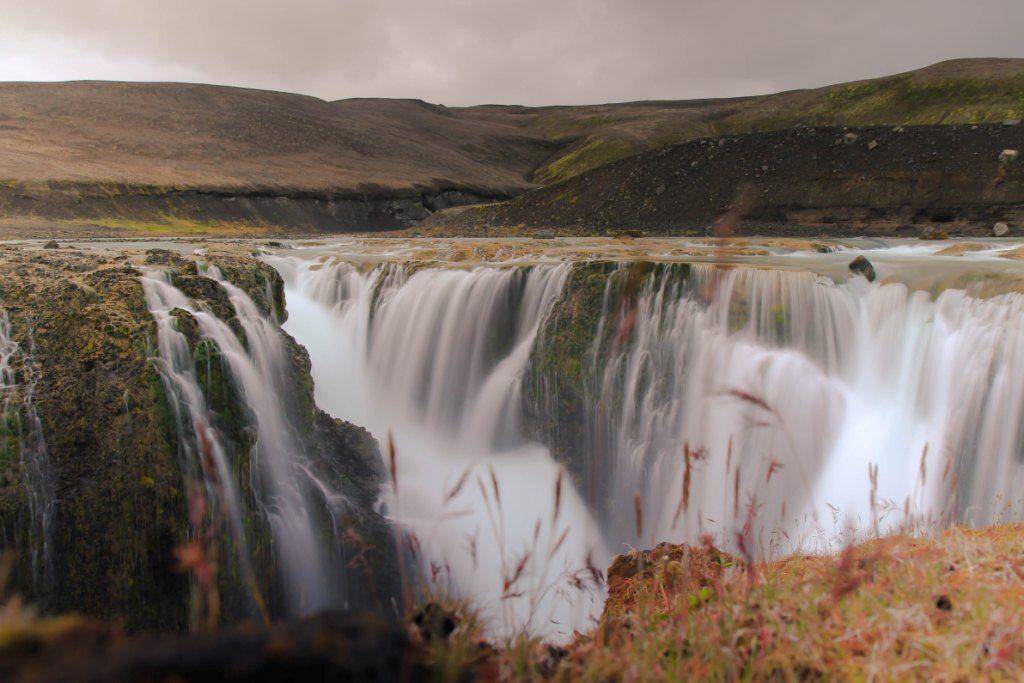 Photo by Patrick Hendry on Unsplash