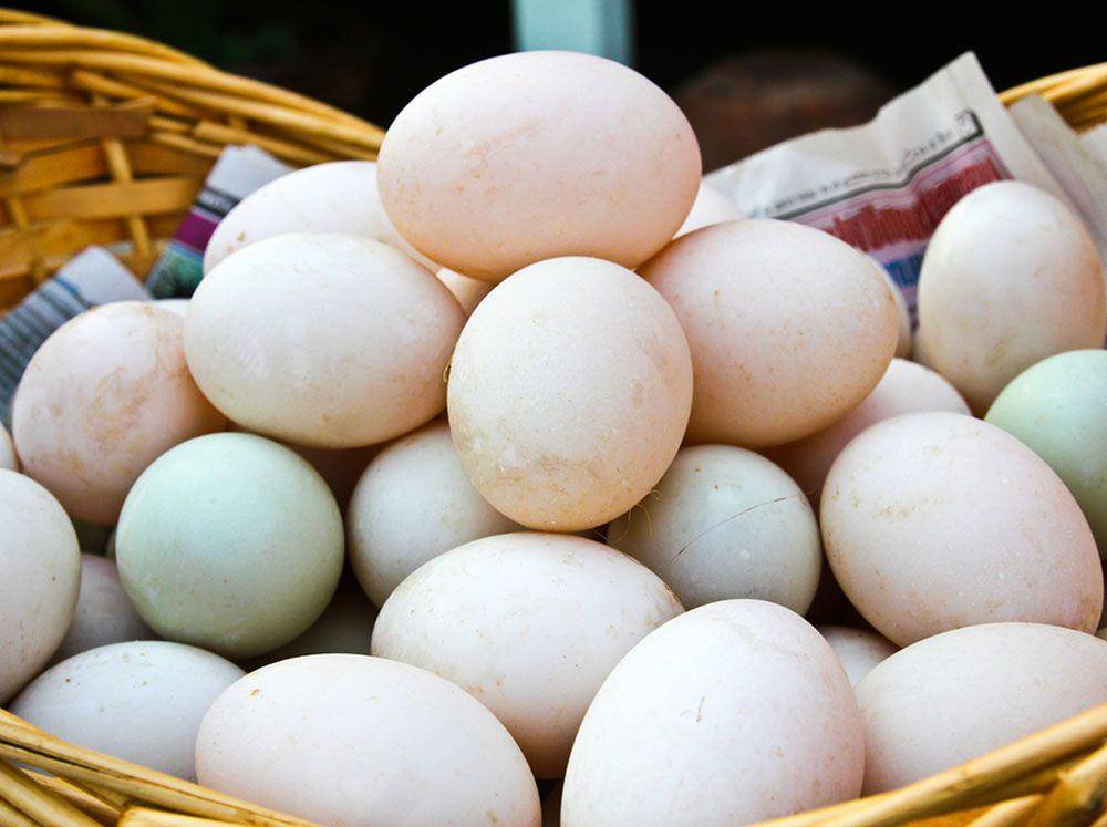 purelypoultry.com
