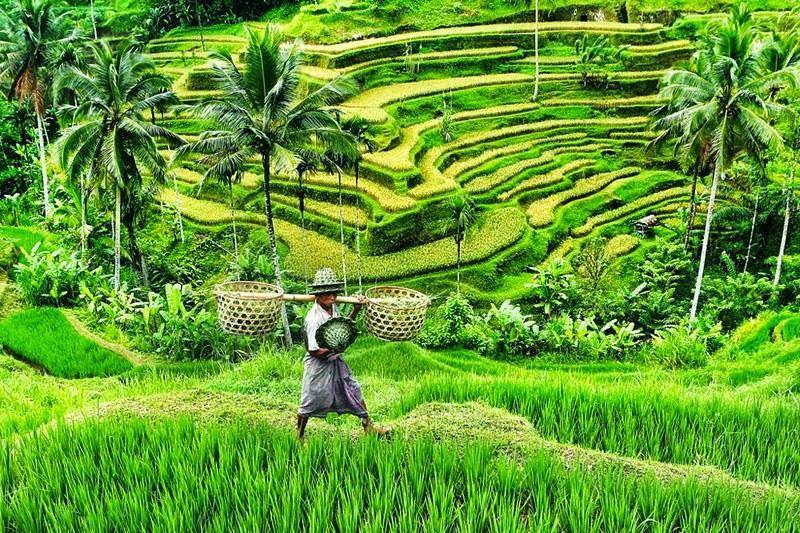 Setelah Mudik, 7 Kesulitan Hidup di Desa Ini Pasti Sempat Kamu Rasakan