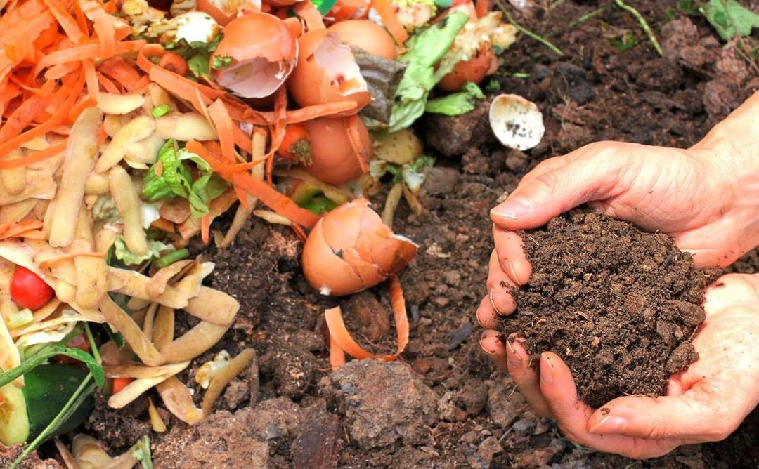 Ternyata 10 Cara Kecil Ini Bisa Menyelamatkan Bumi dari Kerusakan