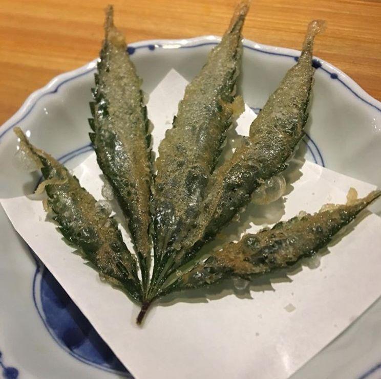 Restoran Ini Punya Menu Daun Ganja Goreng, Kamu Berani Coba?