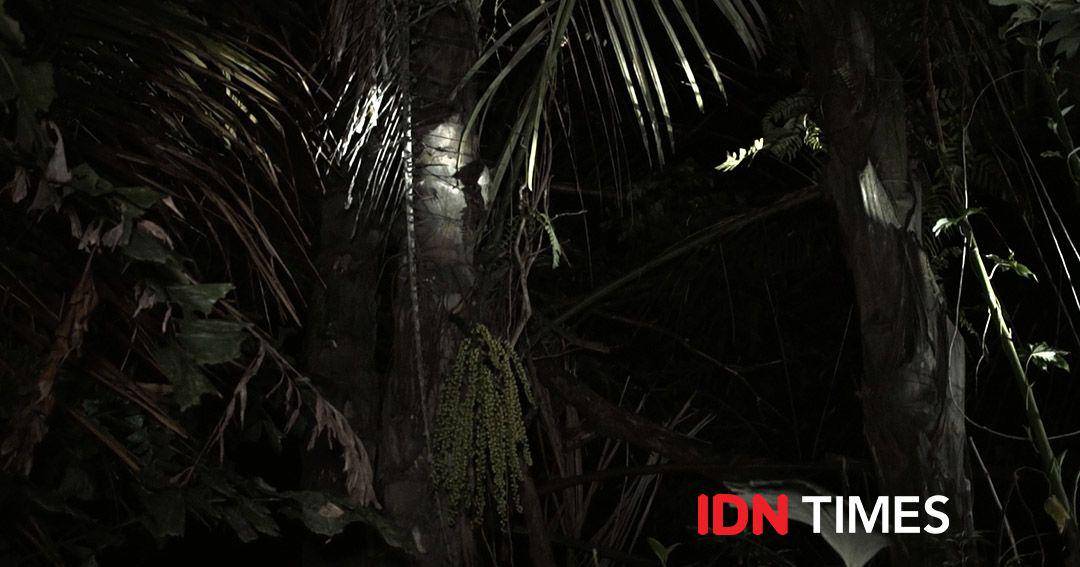 IDN Times/Michael Prayogo