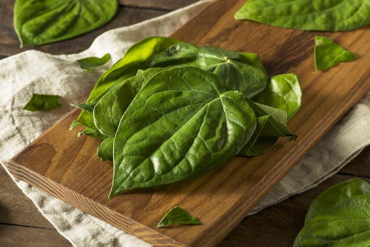 Bikin Cepat Sembuh, Ini 5 Pengobatan Jadul Sederhana yang Manjur