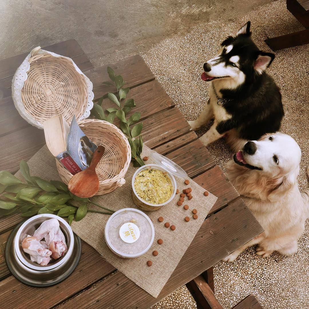 instagram.com/pawviliondogcafe