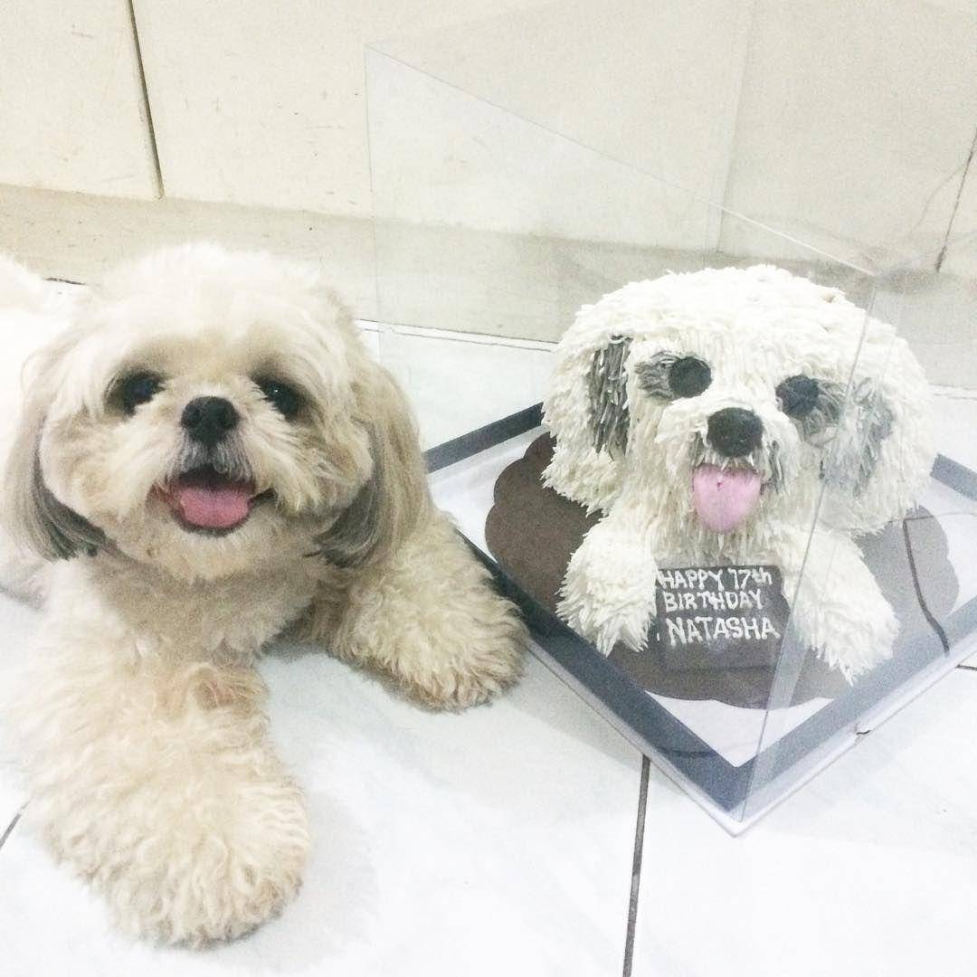 instagram.com/woofiewoofy