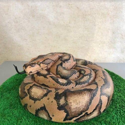 instagram.com/elegateaucakes