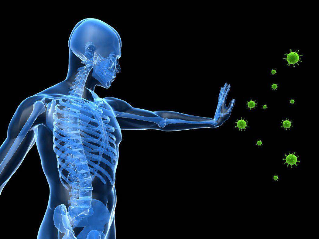 collective-evolution.com