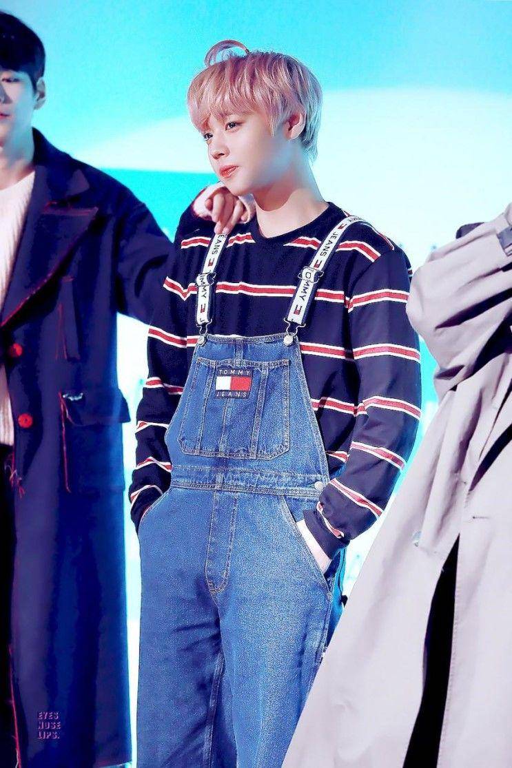 pann.nate.com