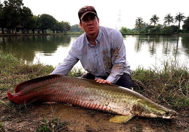 megafishingthailand.com