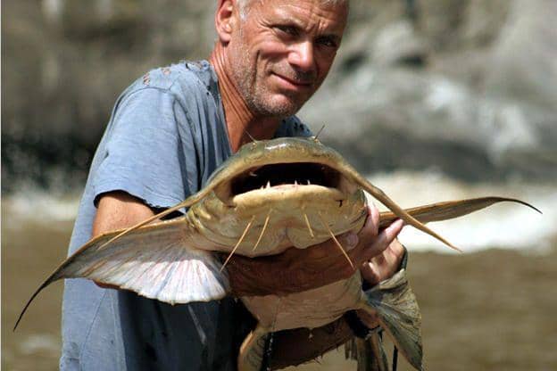 5 Ikan Paling Buas di Dunia, Berani Pelihara?