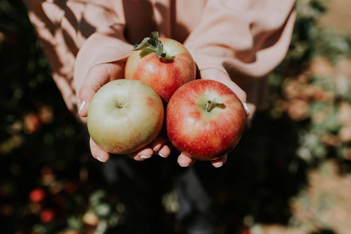 Unsplash.com/Natalie Collins