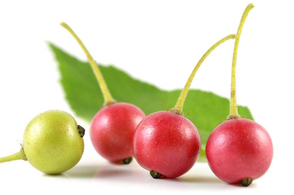 foodnsport.com