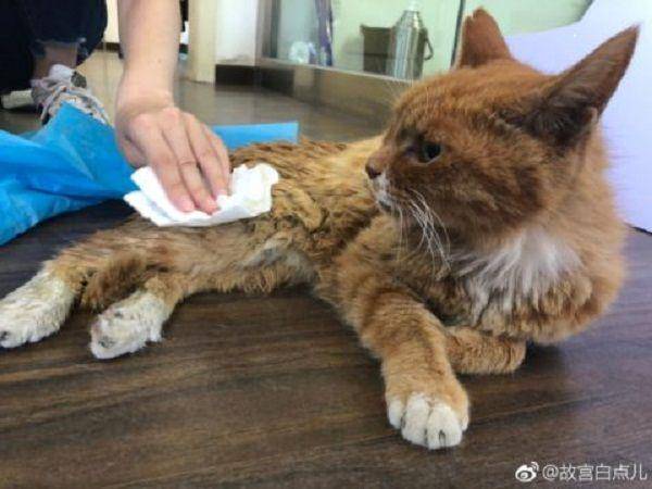 whatsonweibo.com