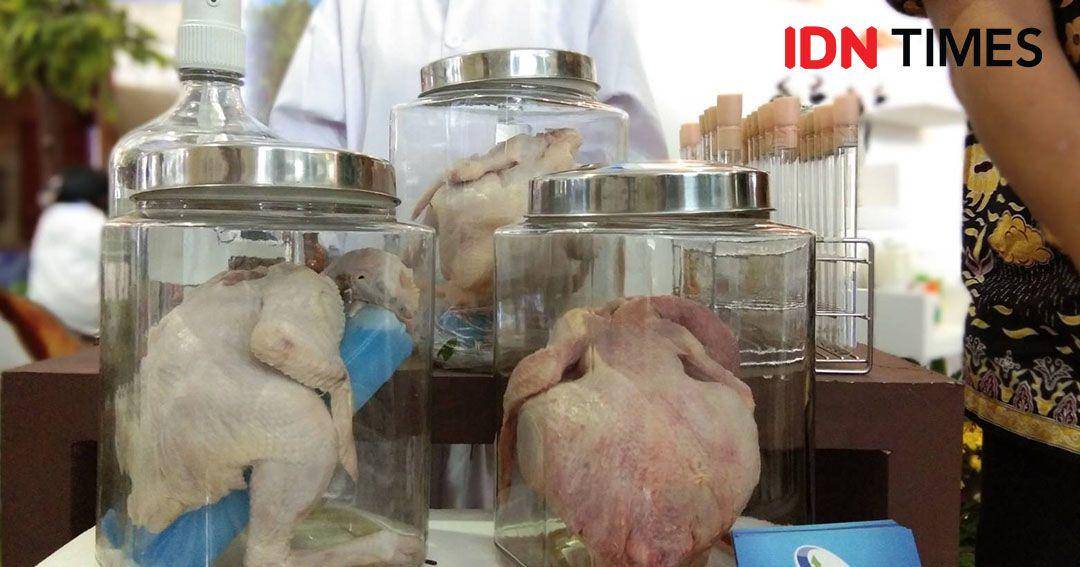 IDN Times/Bayu D. Wicaksono