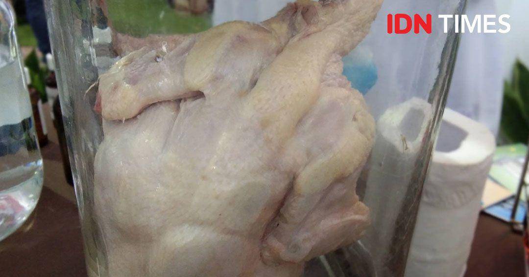 IDN Times/Bayu D. Wicaksono