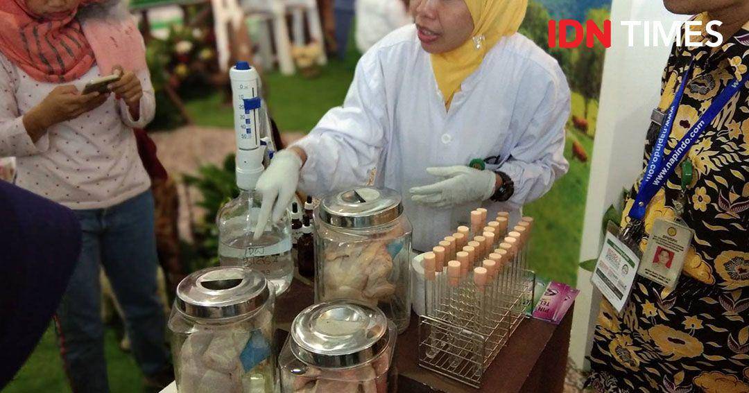 IDN Times/Bayu D. Wicaksono