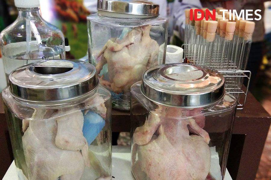 IDN Times/Bayu D. Wicaksono