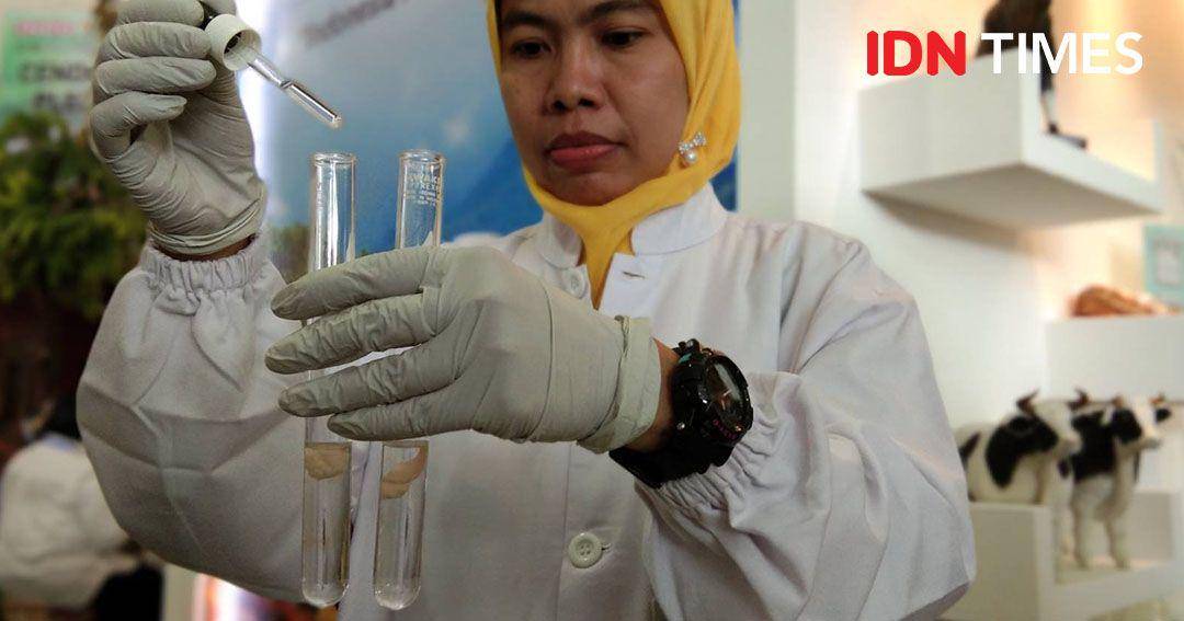 IDN Times/Bayu D. Wicaksono