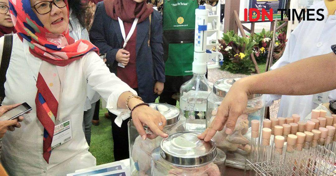 IDN Times/Bayu D. Wicaksono
