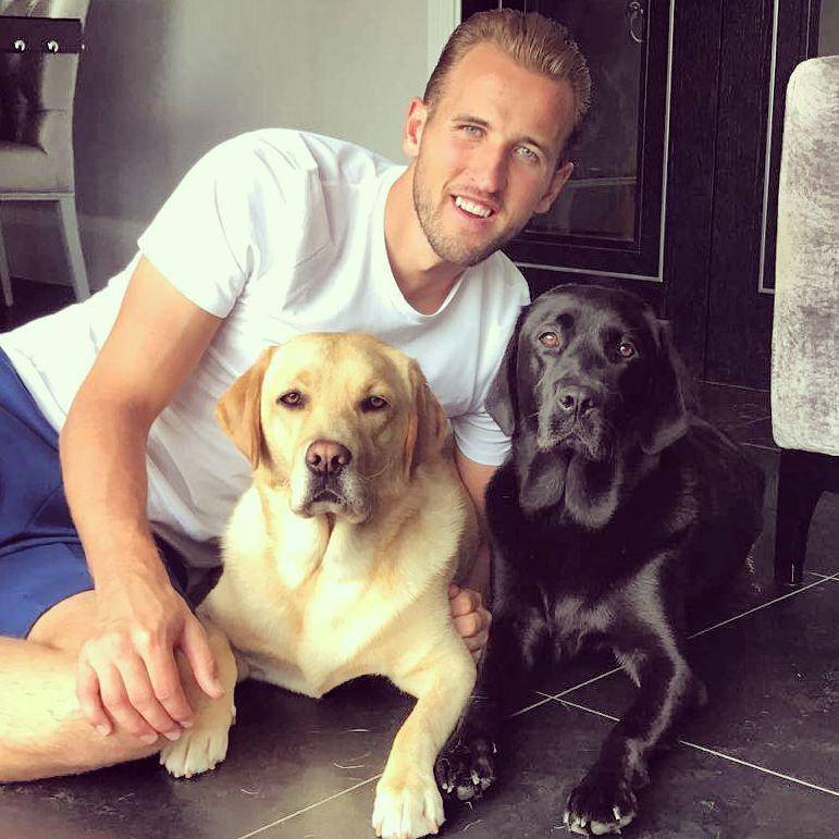 instagram.com/harrykane
