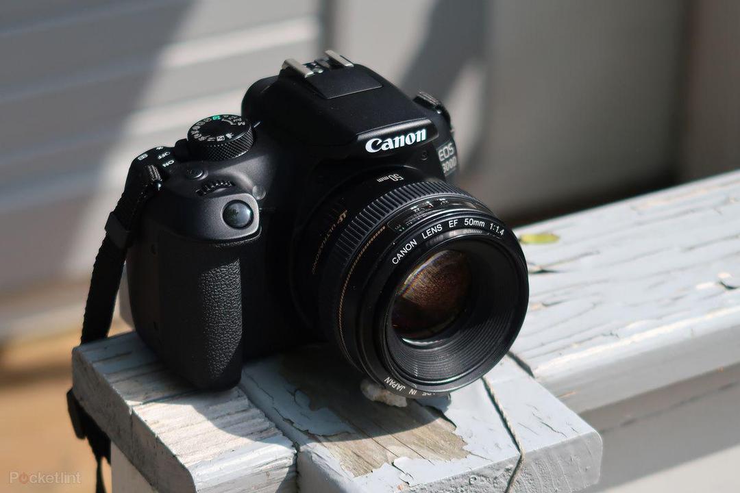 Khusus Fotografer, 5 Rekomendasi Kamera DSLR Canon Beraneka Harga