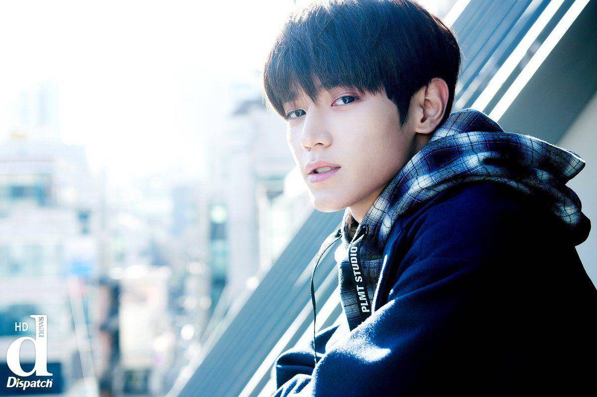 dispatch.co.kr